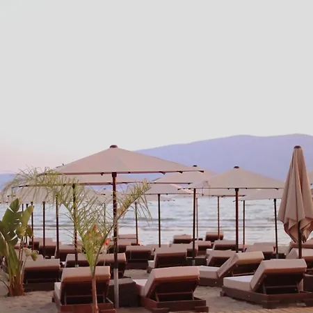 Premium 02-03 Vlorë