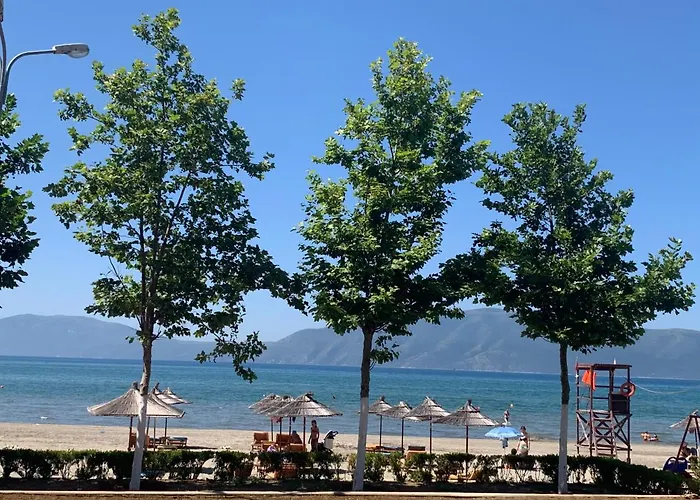 Premium 02-03 * Wlora