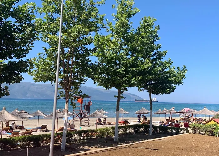 Premium 02-03 Daire *